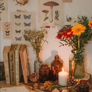 Meet your Posher, Mindie